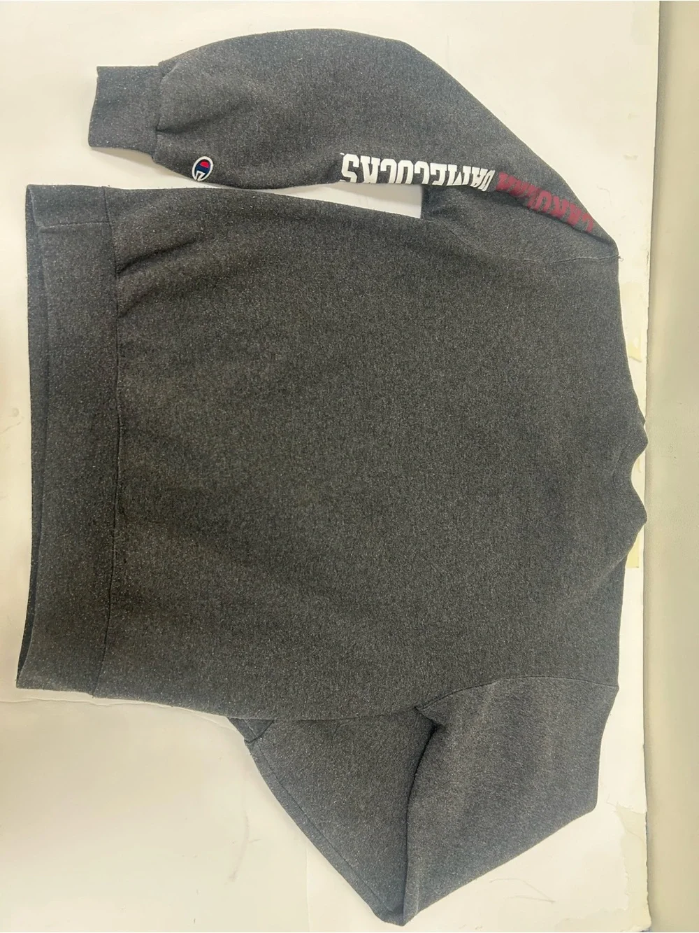 South Carolina gamecocks medium champion sweatshirt